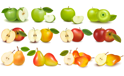 Apple and pears slice vector  
