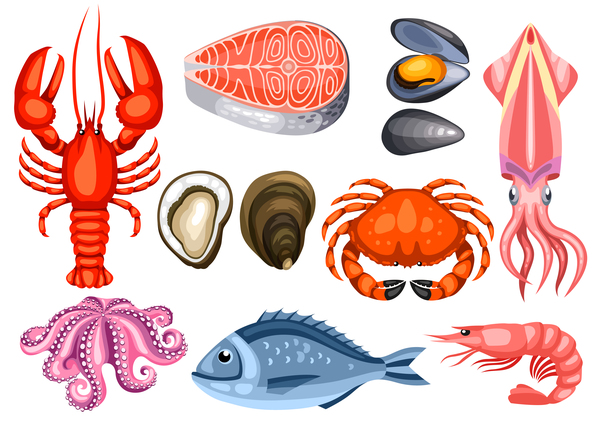 Different seafood illustration vector 02  