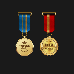 Gorgeous medal award vector 01  
