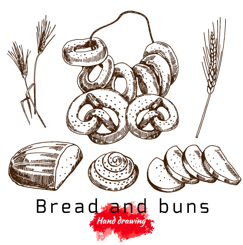 Hand drawing bread and buns vector  