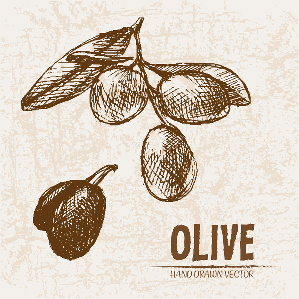 Olivgrüne Hand gezeichnete Vektoren Design-Set 03  