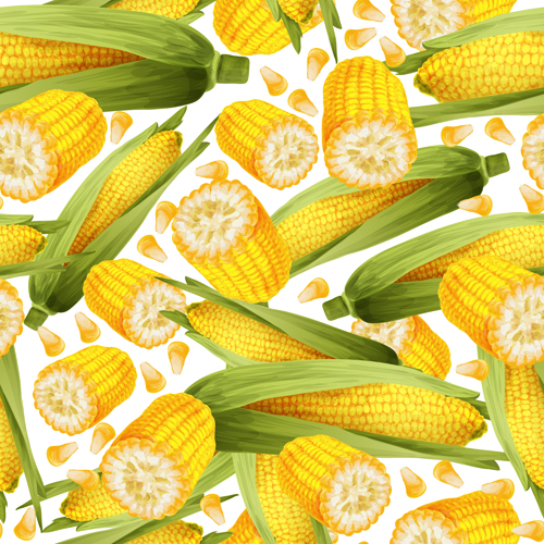 Realistic Corn seamless pattern vector material  