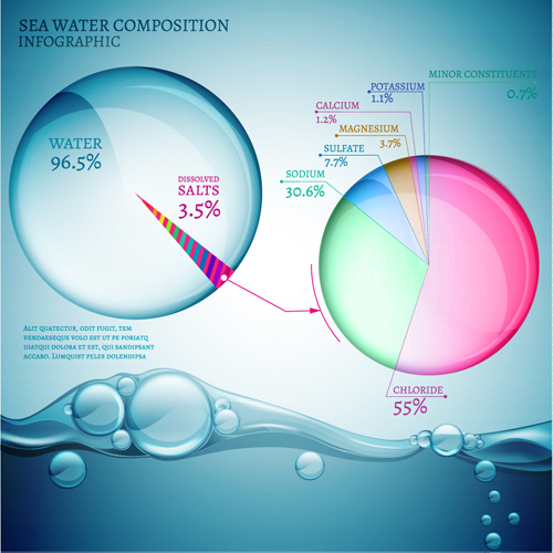 Sea water composition infographic vector 01  