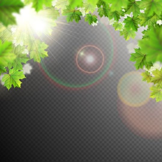Foglie estive con sfondo luce solare illustrazione 02  