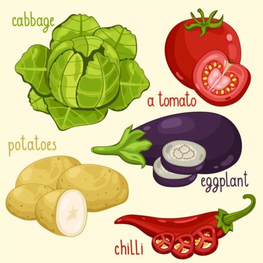 Vegetables with name design vector 06  