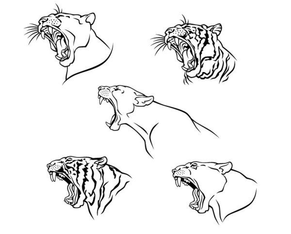 Set of Tiger vector picture art 10  