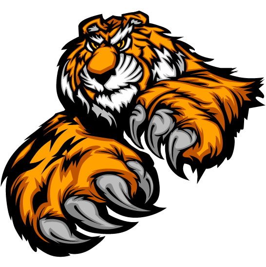 Set of Tiger vector picture art 19  