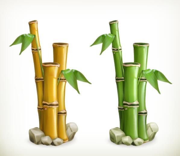 Bambus-Vektor-Illustration  