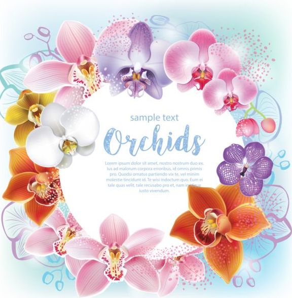Beautiful orchids flowers vector backgrounds 04  