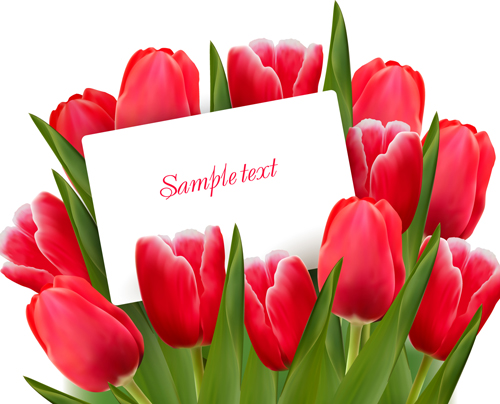 Set of Color Tulips Cards design vector 01  