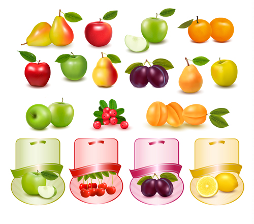 Different fruits with labels vectors  