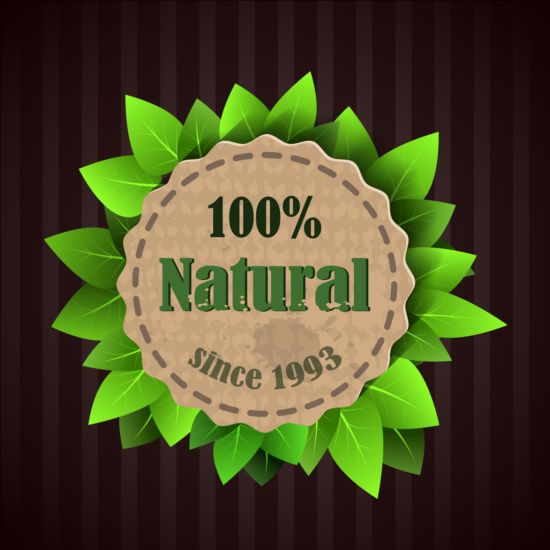 Eco Nature Label con foglie di Gree vettore 05  