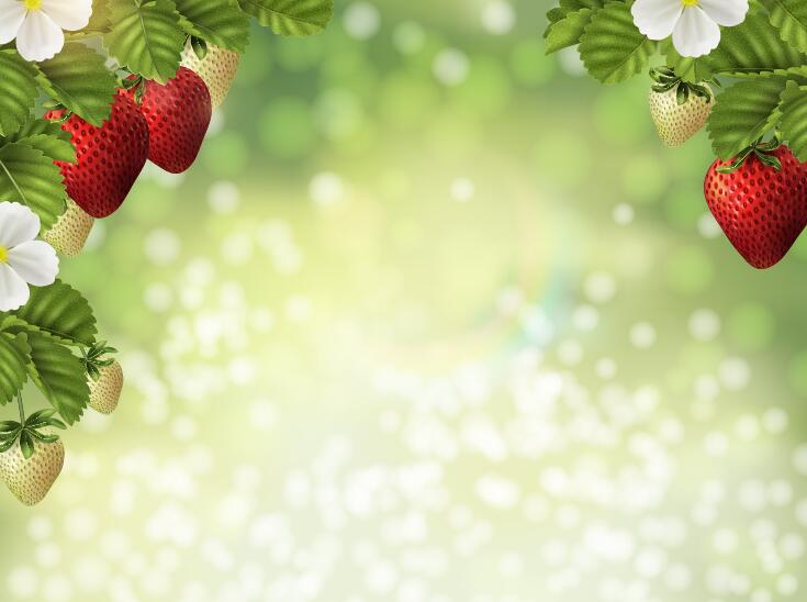 Fresh strawberry with blurs background vector  