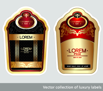 Luxury Vintage label vector 04  