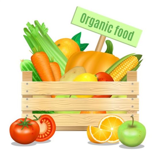 Organic vagetables poster vector design 01  