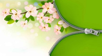Green background with pink flower vector  