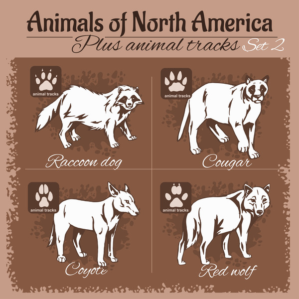 north america animal with footprints vector 02  