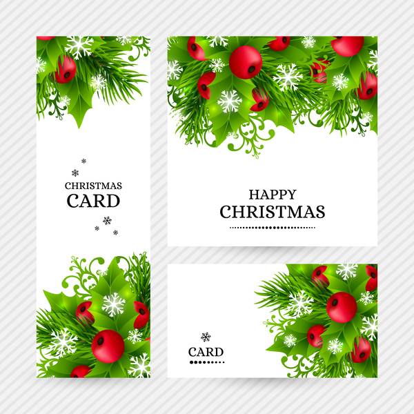 Christmas holly cards design vector 06  