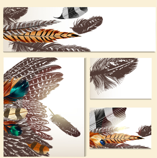 Feathers banner with cards vector 01  