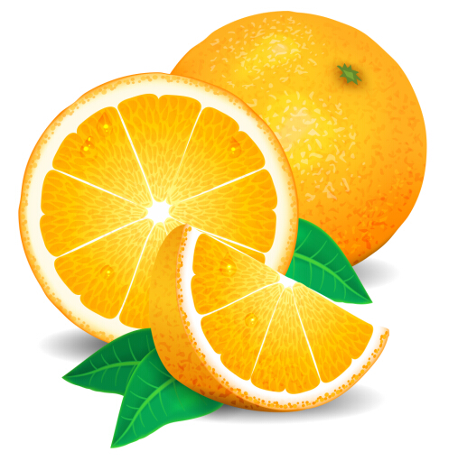 Fresh orange vector  