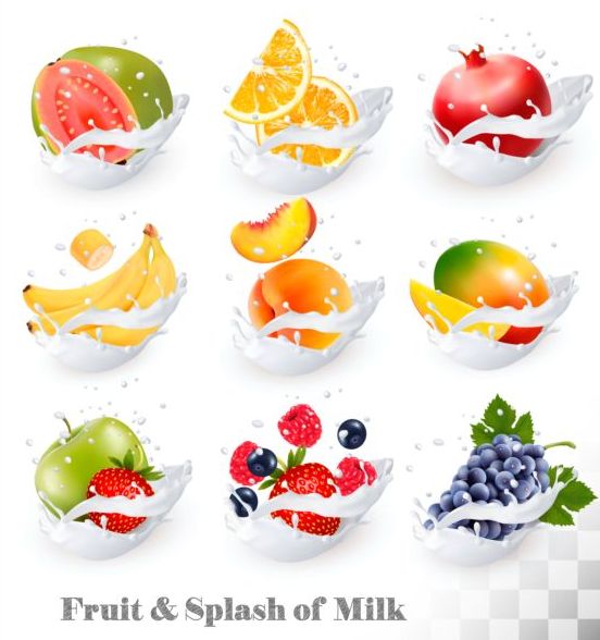 フルーツとスプラッシュのミルク ベクトル イラスト 02  