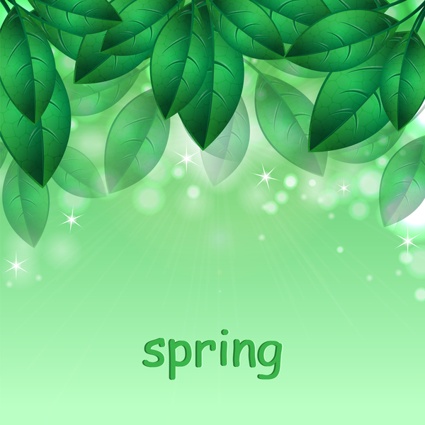 春の背景美術を持つ緑の葉ベクター 03  
