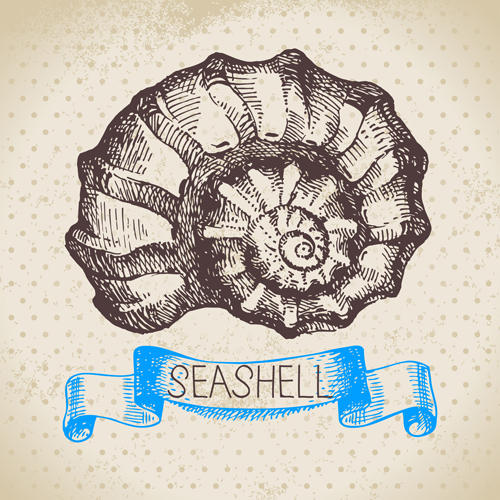 Set of seashell hand drawn vectors material 05  