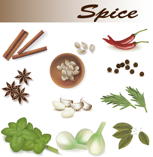 Set of Different Spice design vector 05  