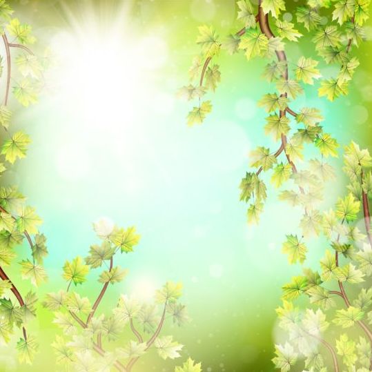 Summer green leaves with sunlight background vector 06  