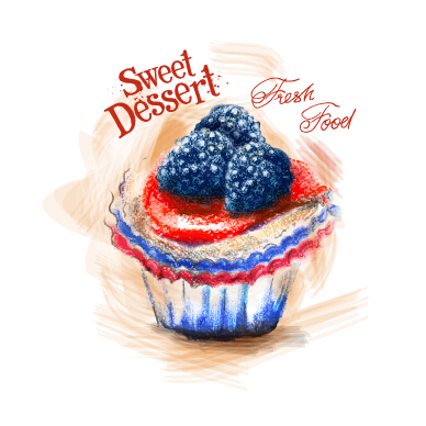 Sweet dessert colored drawn vector  