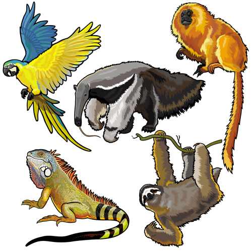 Vector set of wild animals design graphic 03  
