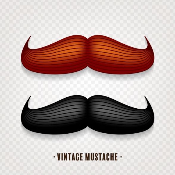 Conception de moustache Vintage vector illustration 04  