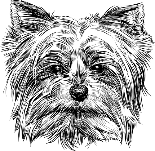 Sketch dog design vector 03  