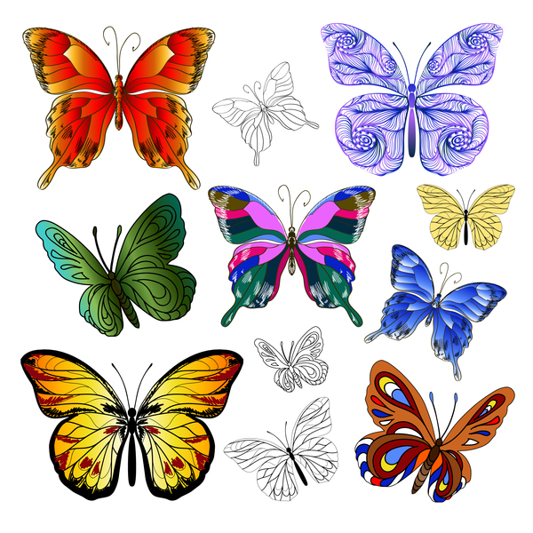 vecteur de papillons multicolores  