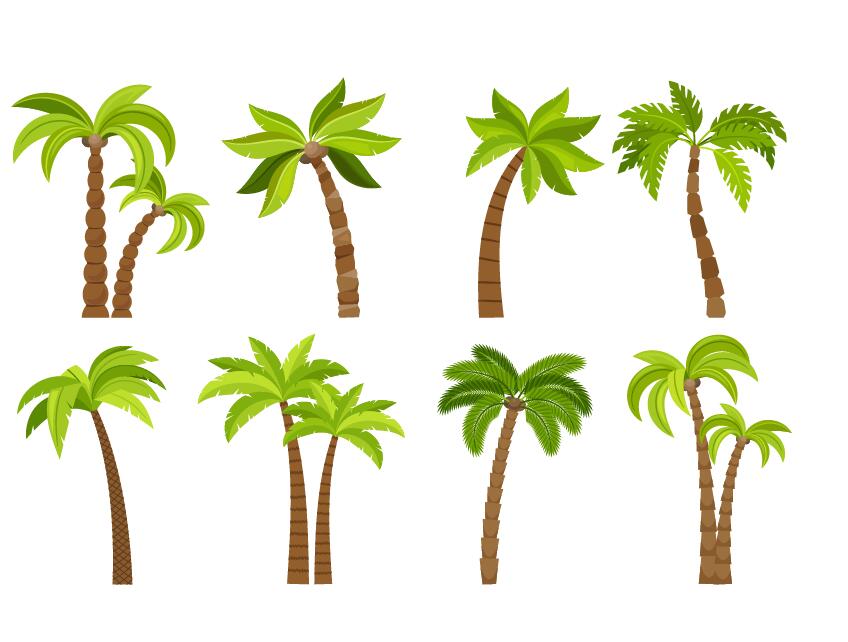 tropical tree illustration vector 01  