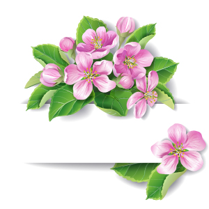 Elegant pink flowers with paper background vector  