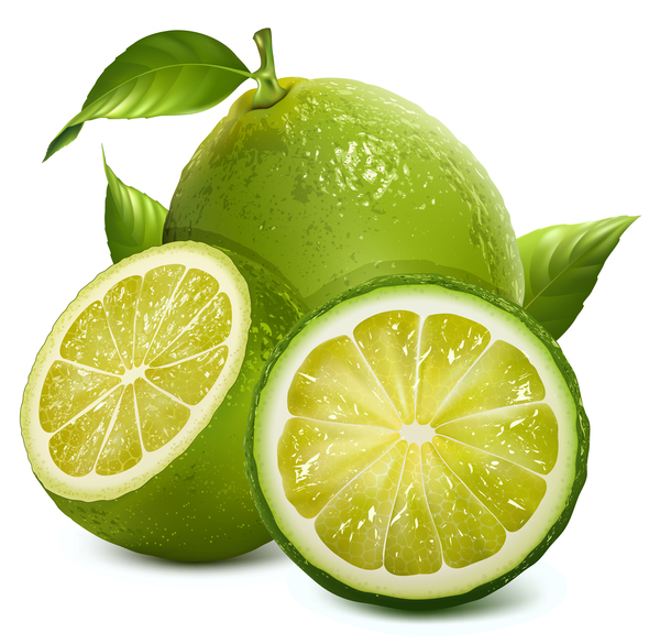 Green citrus with leaves vector 01  
