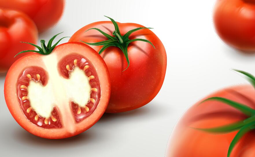 Tomate réaliste avec vecteur de fond flous  