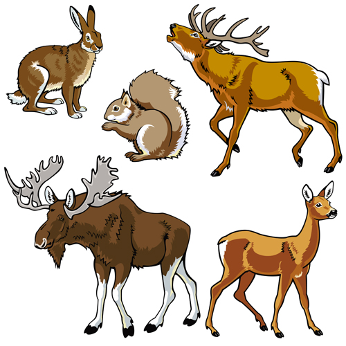 Vector set of wild animals design graphic 02  
