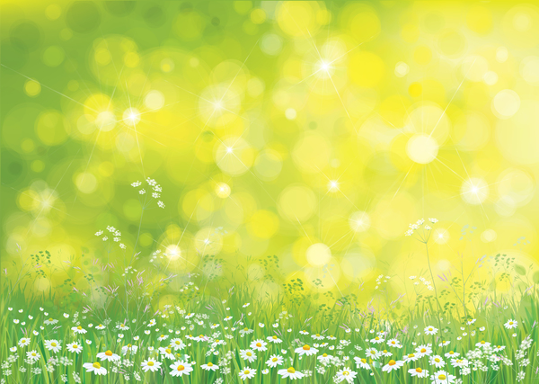 White daisies with spring backgrounds vector set 09  