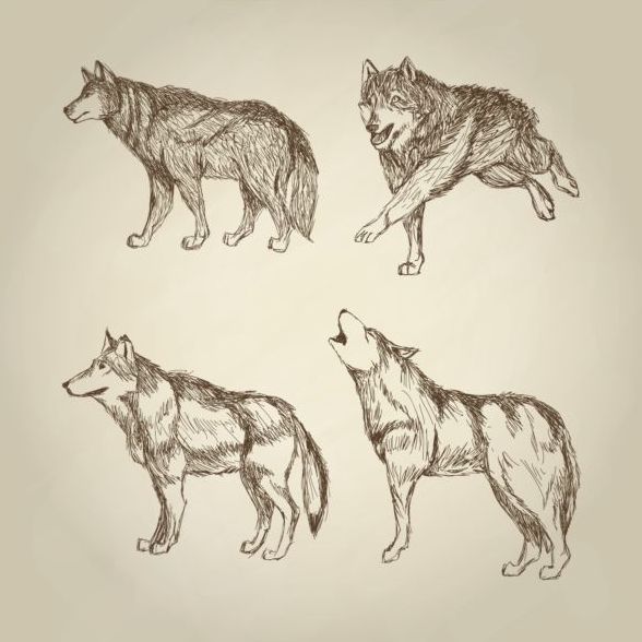 オオカミの手図面デザイン ベクター素材 08  