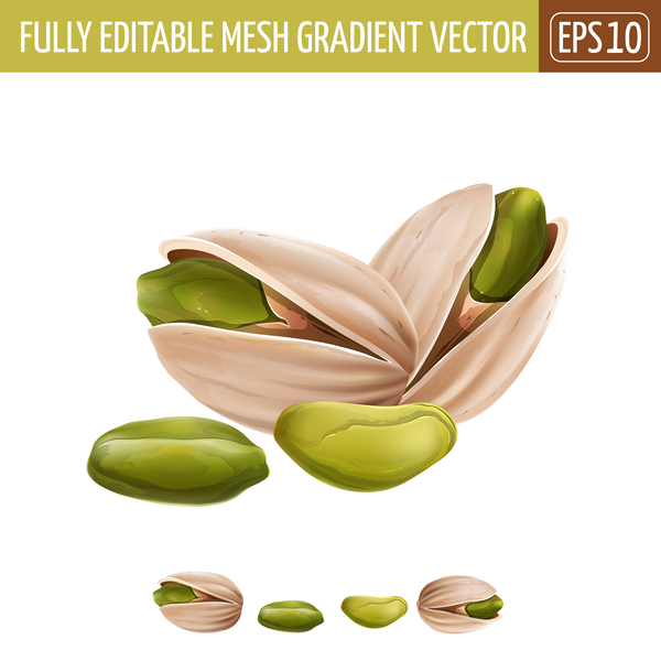 pistachio realistic vectors  