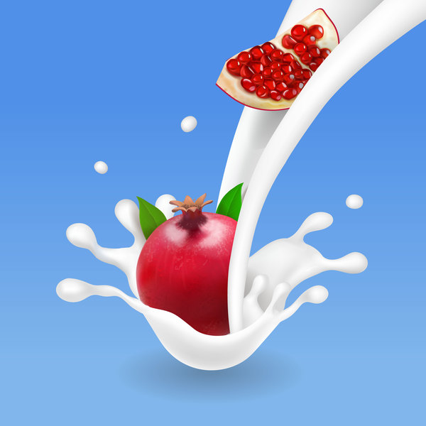 pomegranate with milk splash vector  