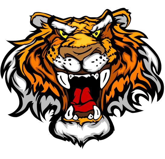 Set of Tiger vector picture art 17  