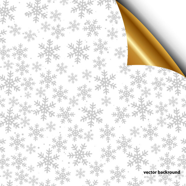 Shiny Snowflake backgrounds Illustration vector 01  