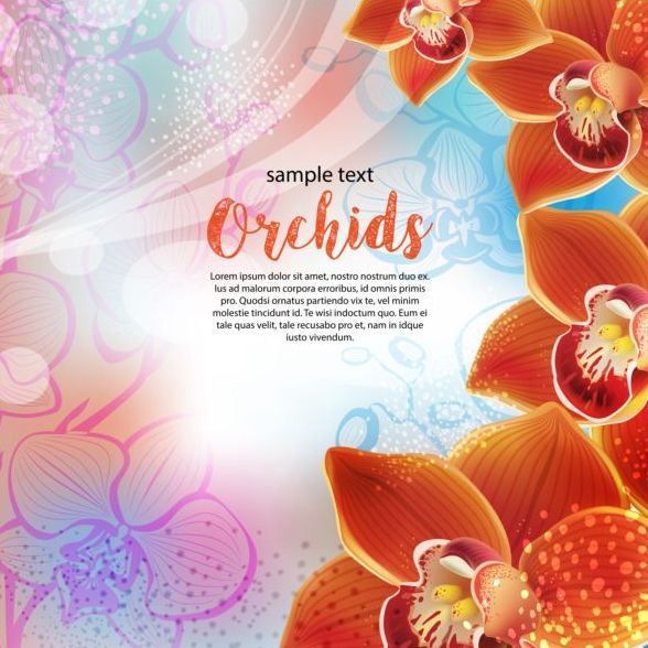 Beautiful orchids flowers vector backgrounds 03  