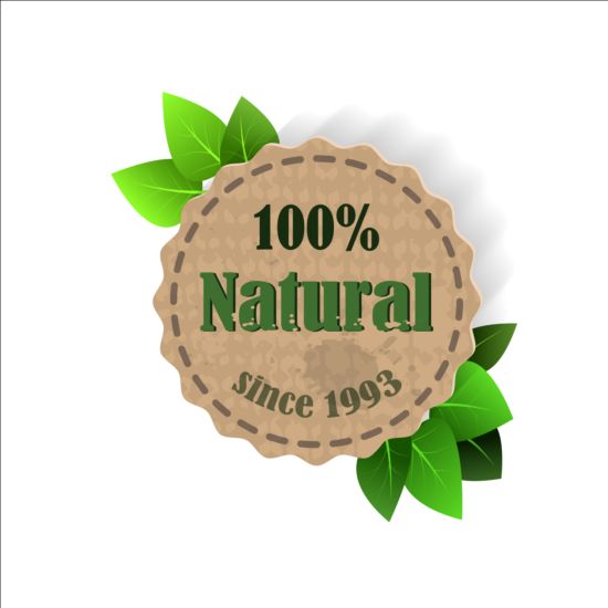 Eco nature label with gree leaves vector 04  