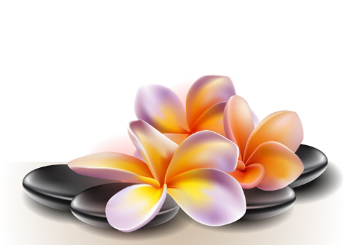 Elegant Orchids design vector 01  