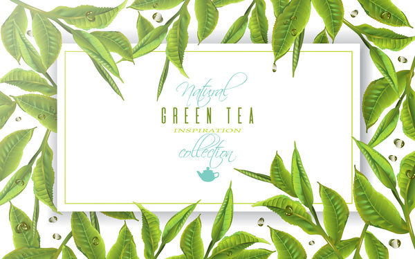 Green tea frame vector material  