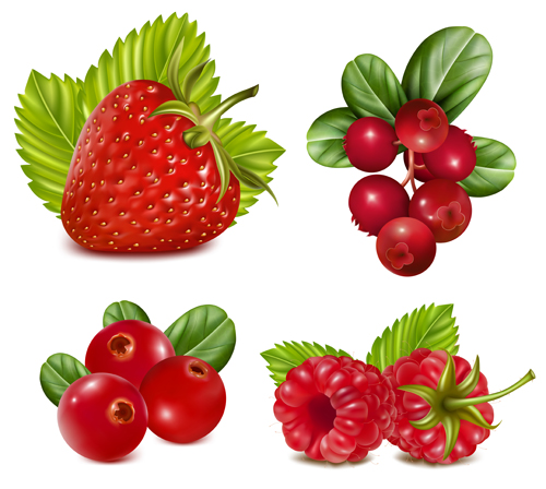 Red fruits vector set  